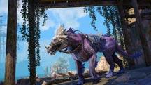 MOUNTS